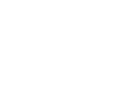 GRIT N GEMS